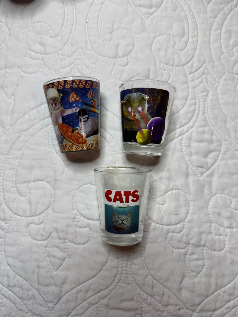 Funny Cat Shot Glass Collection Set of 3